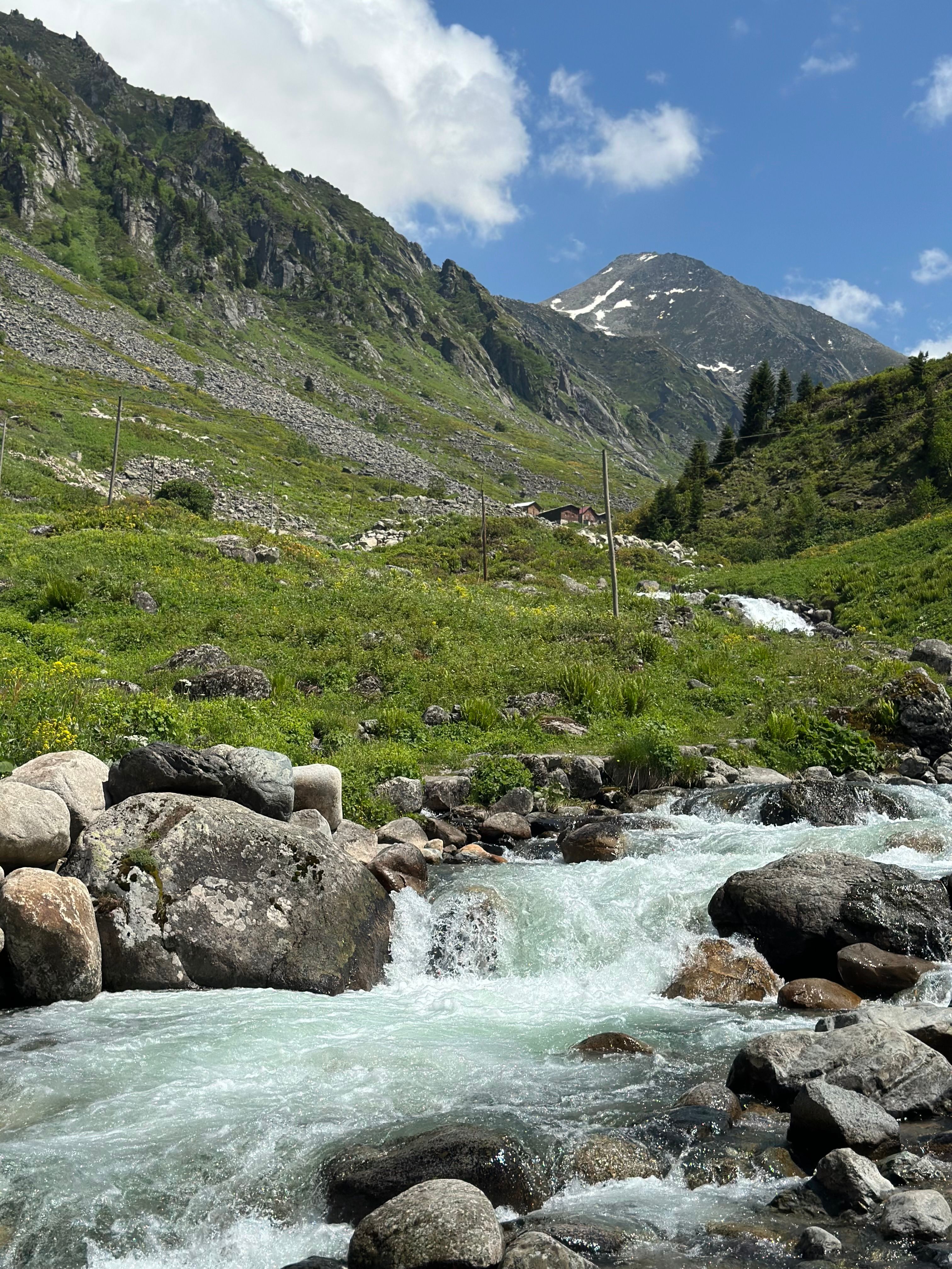 Scenic Mountain Stream in Alpine Landscapes · Free Stock Photo