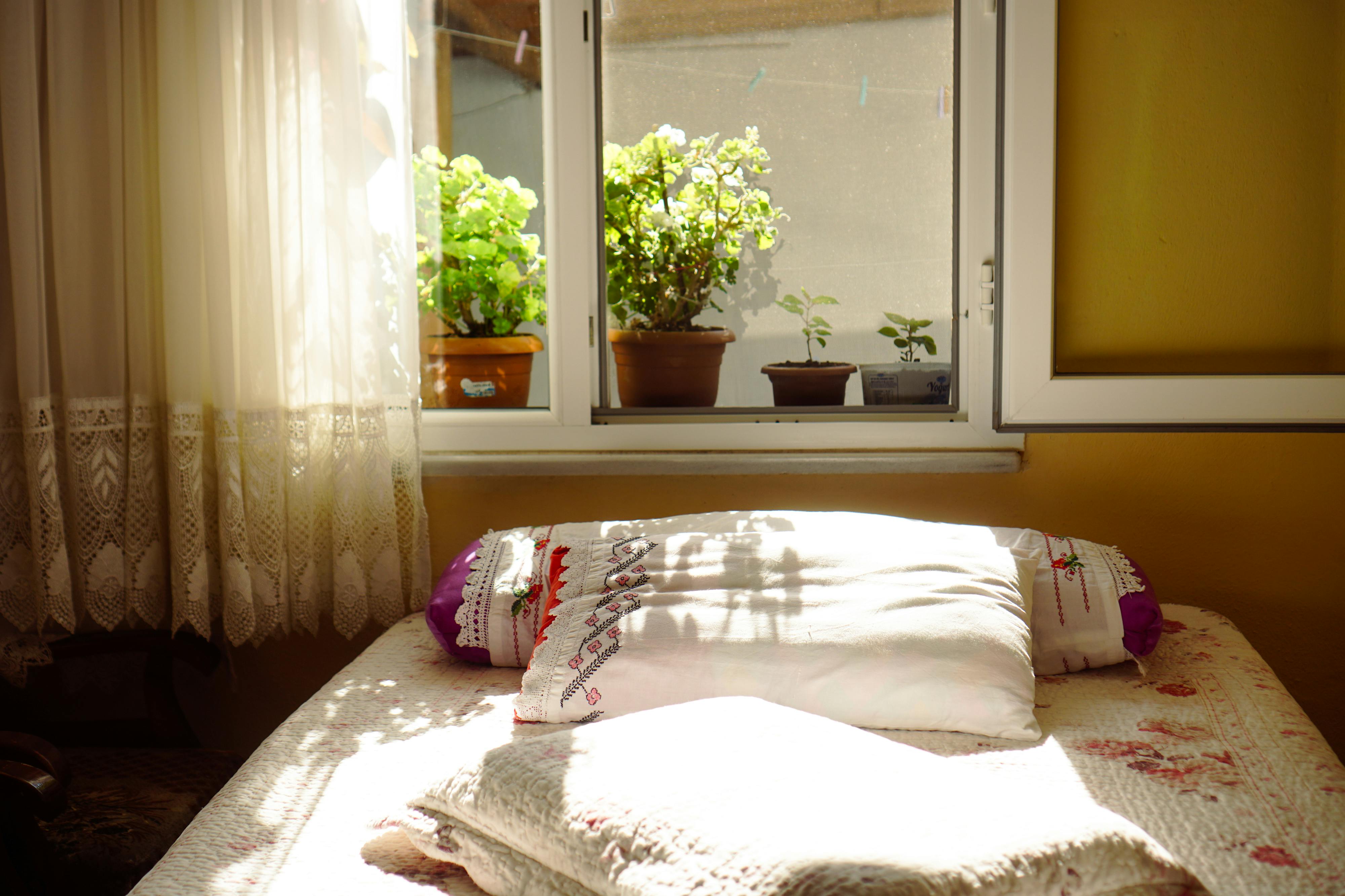 Fashion trend: Sanctuary Spaces: Your Guide to Aesthetic Organization & Cozy Living