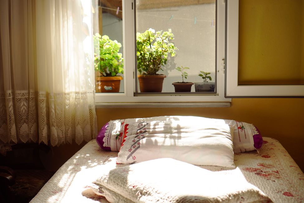 Picture for Cannabis and Cortisol: What Morning Stress Hormones Reveal About Regular Use