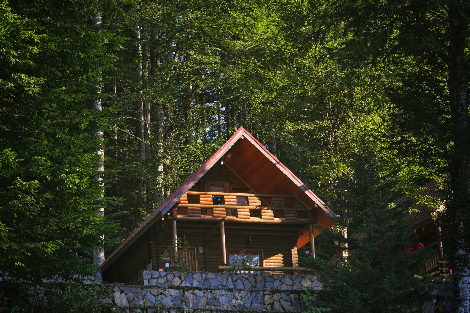 Cabana Gențiana din Retezat distrusă complet de foc