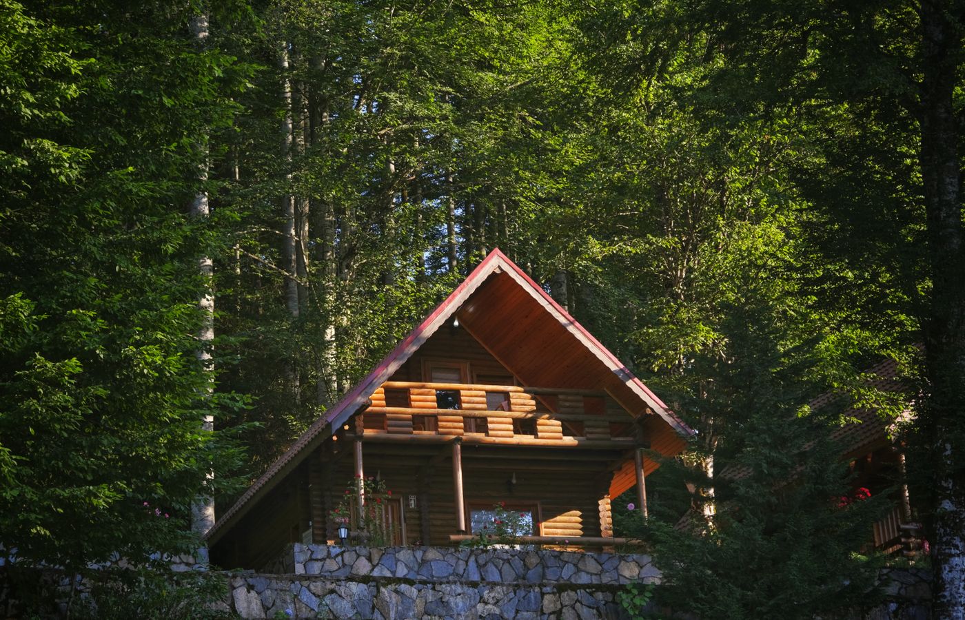 Cozy wooden cabin nestled in lush green forest, perfect for retreat.