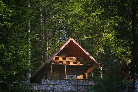 Cozy wooden cabin nestled in lush green forest, perfect for retreat.