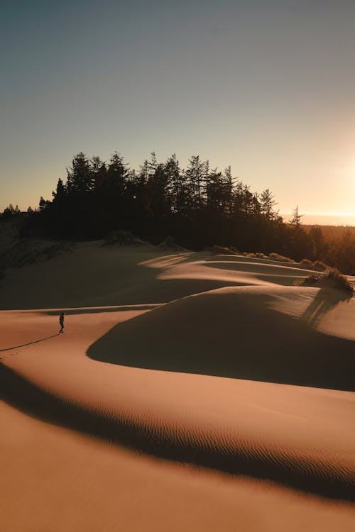 Foto d'estoc gratuïta de aventura, desert, dunes