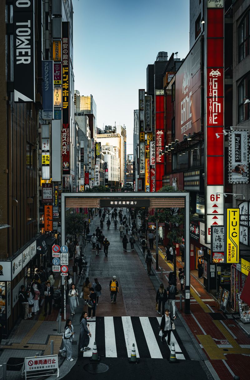 Shinjuku district at night, Tokyo — vibrant street life and neon in Japan's busiest entertainment district