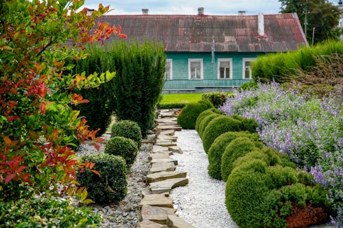 Plant These Sturdy Shrubs In September For Winter Wow