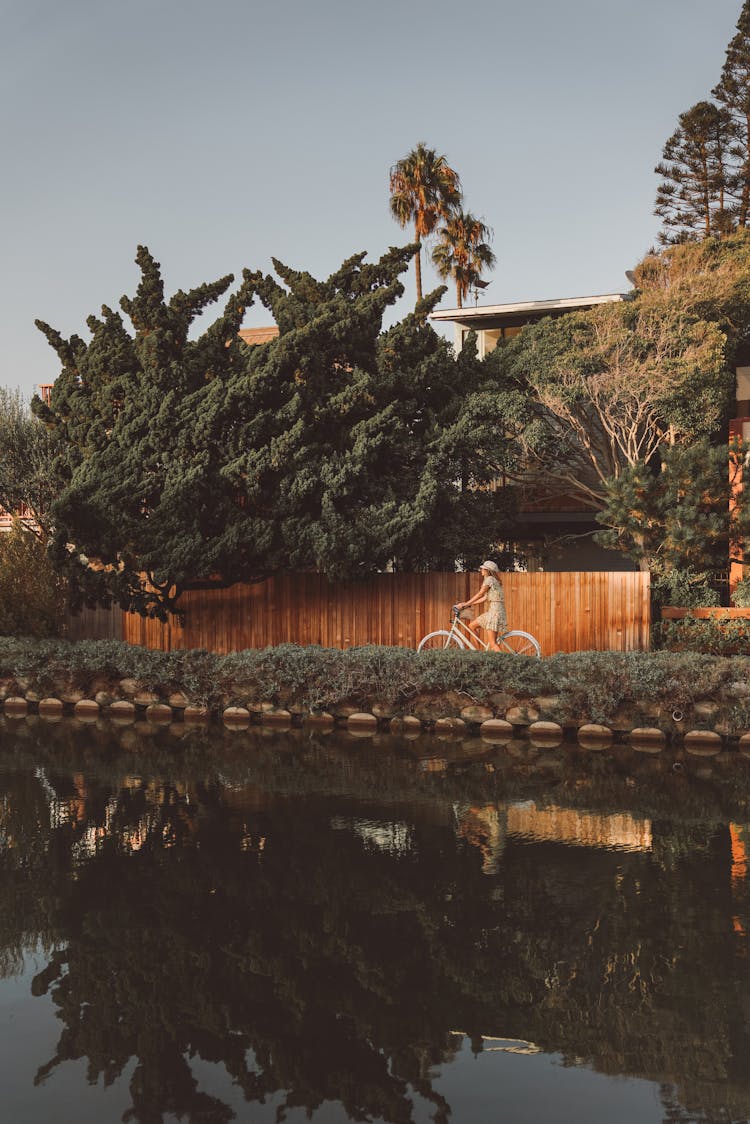 Photo Of Person Riding Bike Near Green Leafy Tree Near Wooden Fence