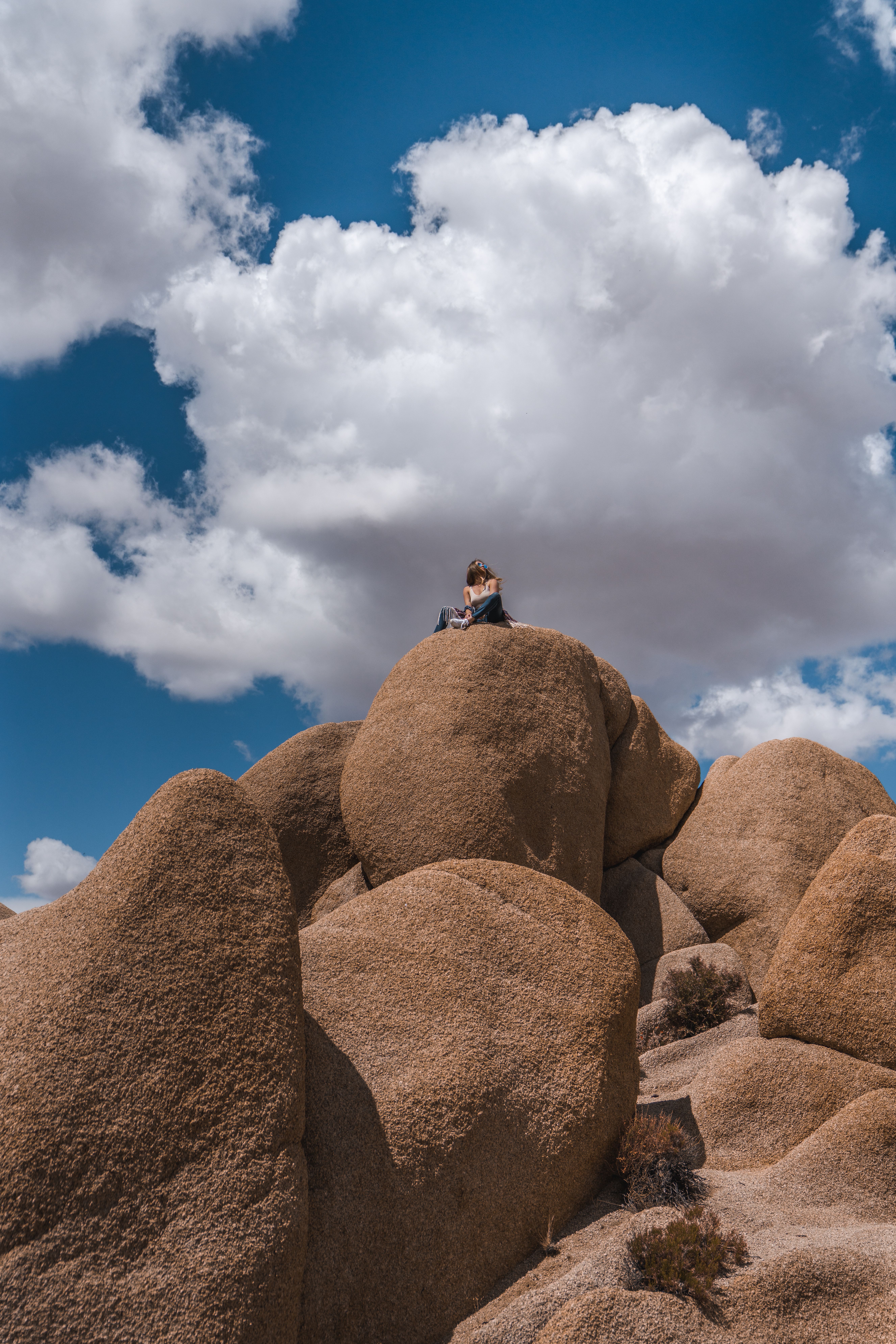 Joshua Tree Rock Climbing School