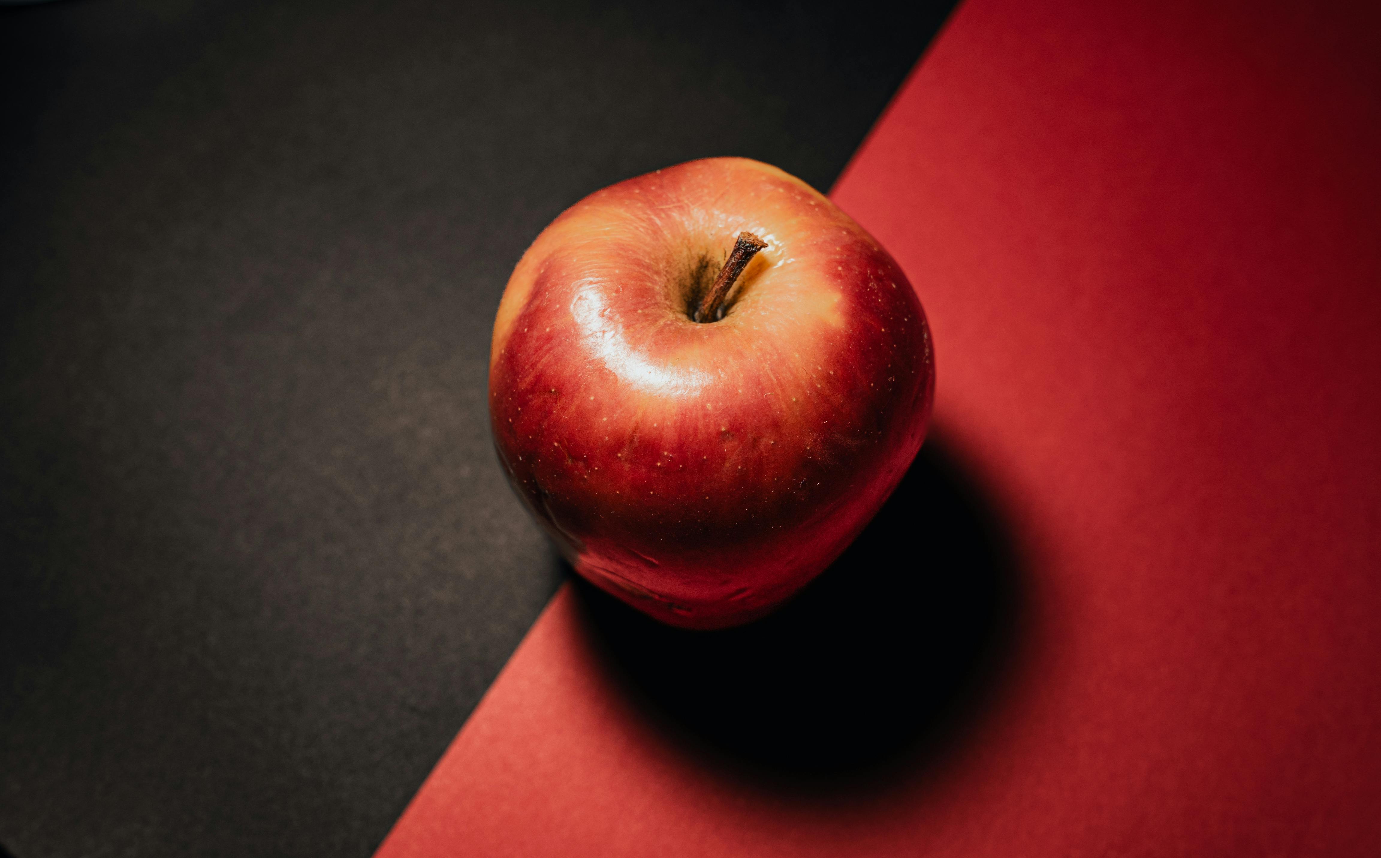 건강한 음식 사진