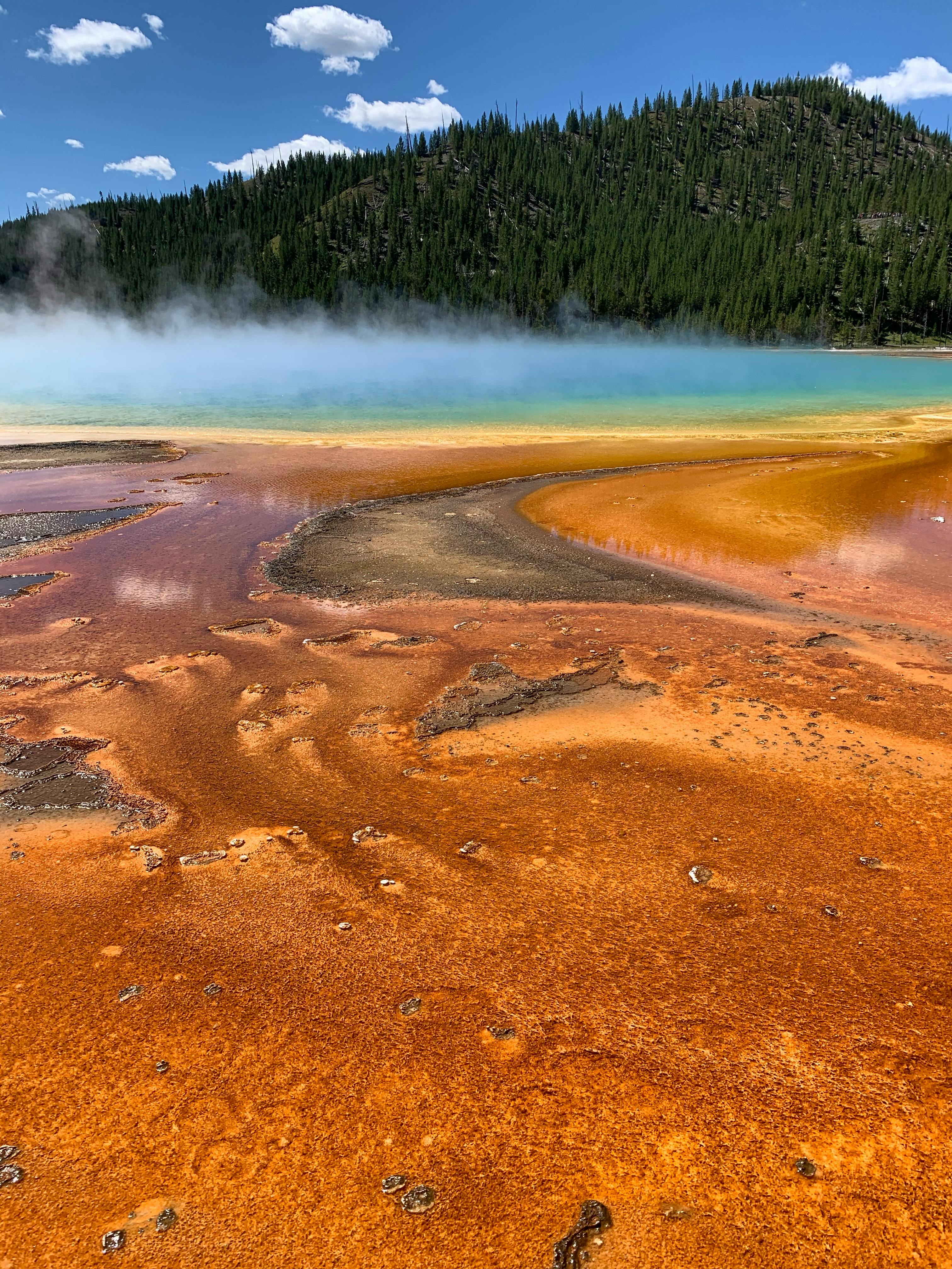 Vibrant view of the Grand Prismatic Spring in Yellowstone National Park, showcasing vivid colors and natural beauty.