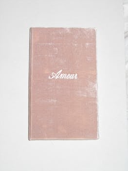 A stylish pink velvet notebook with 'Amour' inscribed elegantly, ideal for personal journaling.