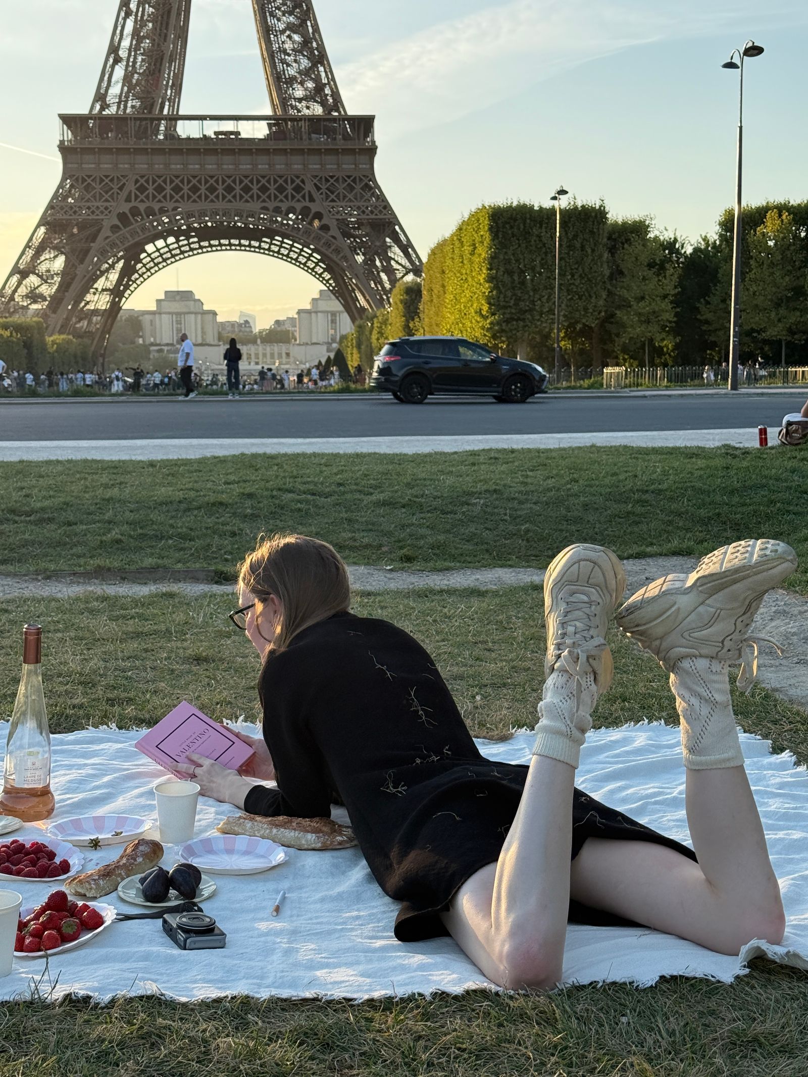 Pique-nique au Champ-de-Mars, 3/3