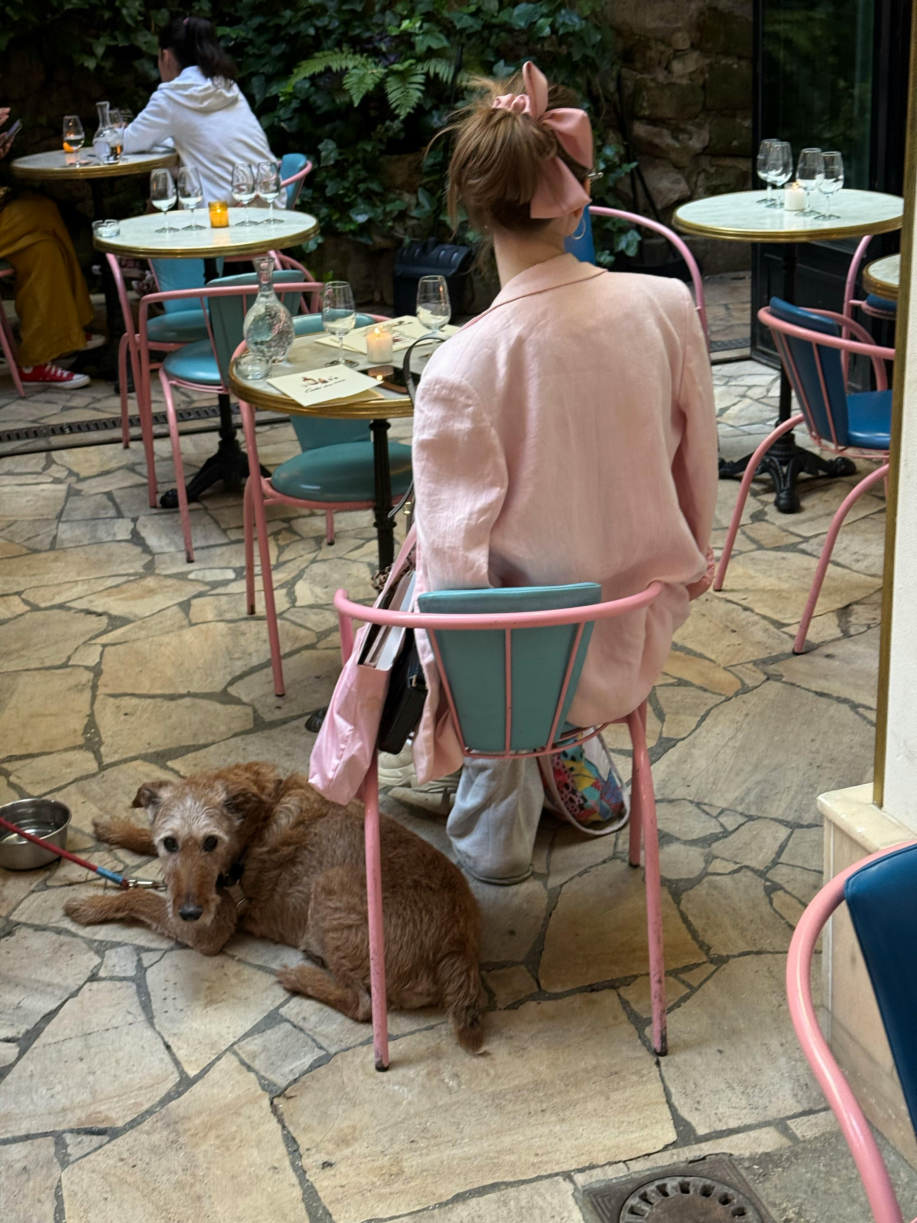Woman at outdoor cafe with a cute dog on a sunny day, enjoying leisure time.
