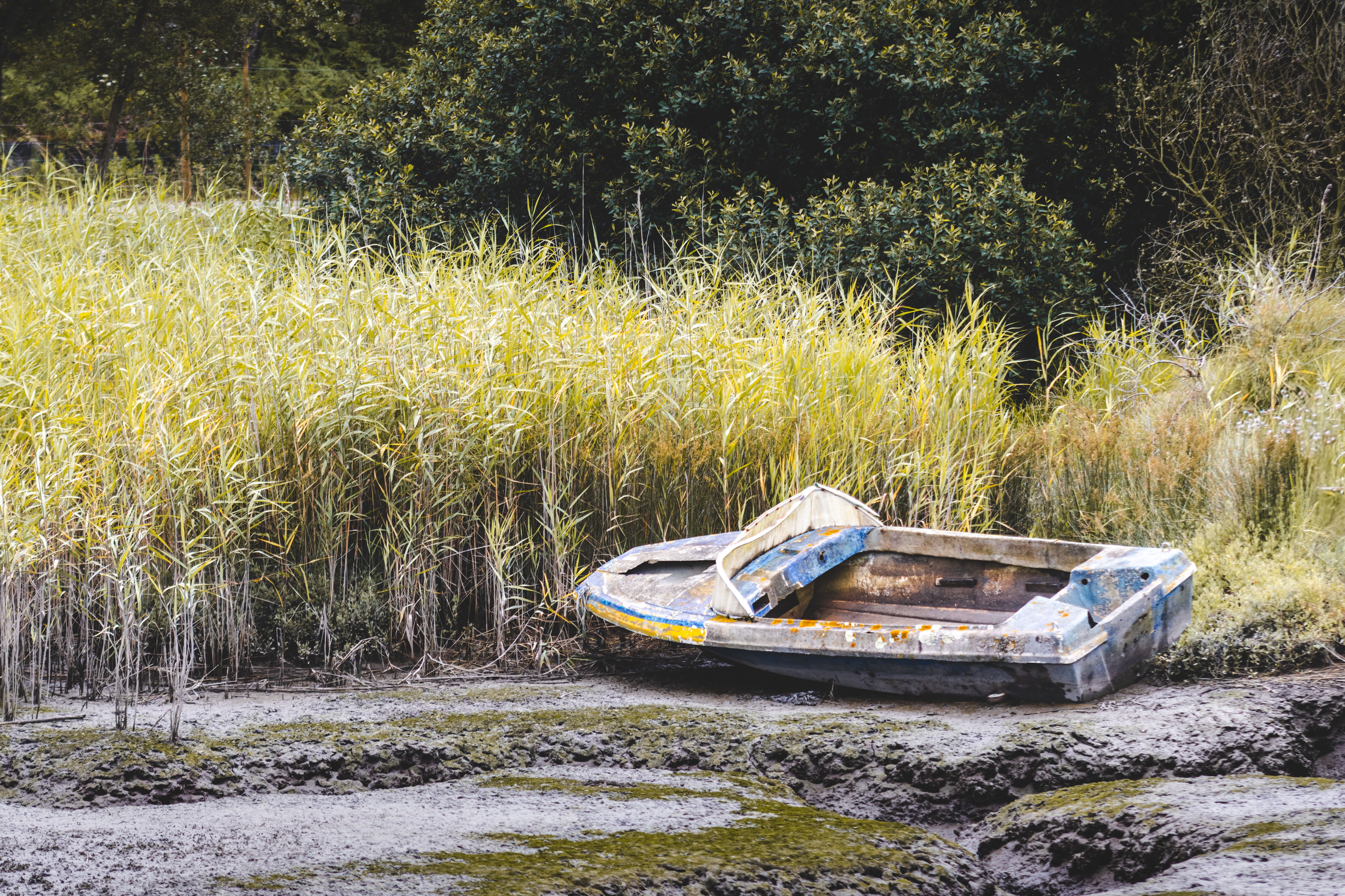 Aveiro, foto van Tiago Chaves