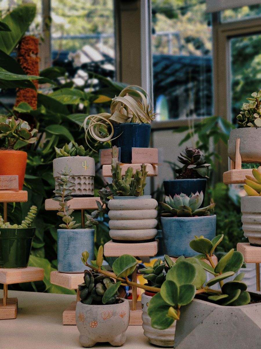 Holiday Table Garden succulent arrangement
