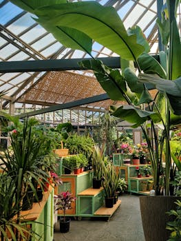 Sunlit greenhouse filled with diverse potted plants and tropical foliage.