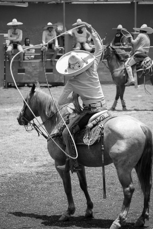 Free Charro performing charrería on horseback in Tlaxcala, Mexico during the day. Stock Photo