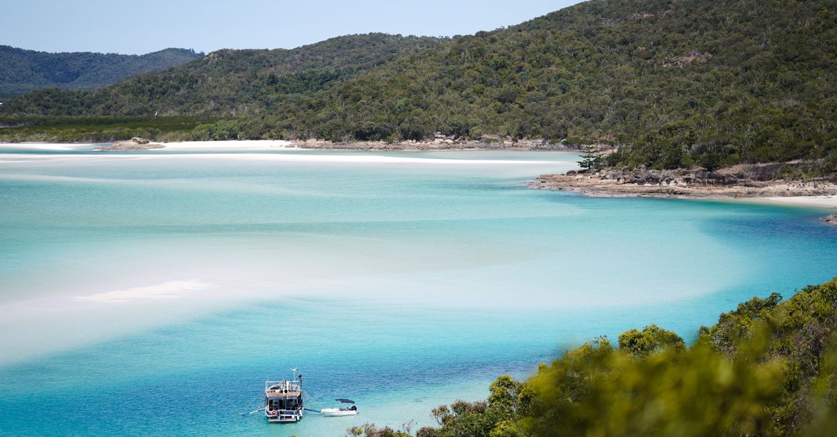 Crystal clear waters and lush greenery at Whitehaven Beach in Australia showcasing natural beauty.