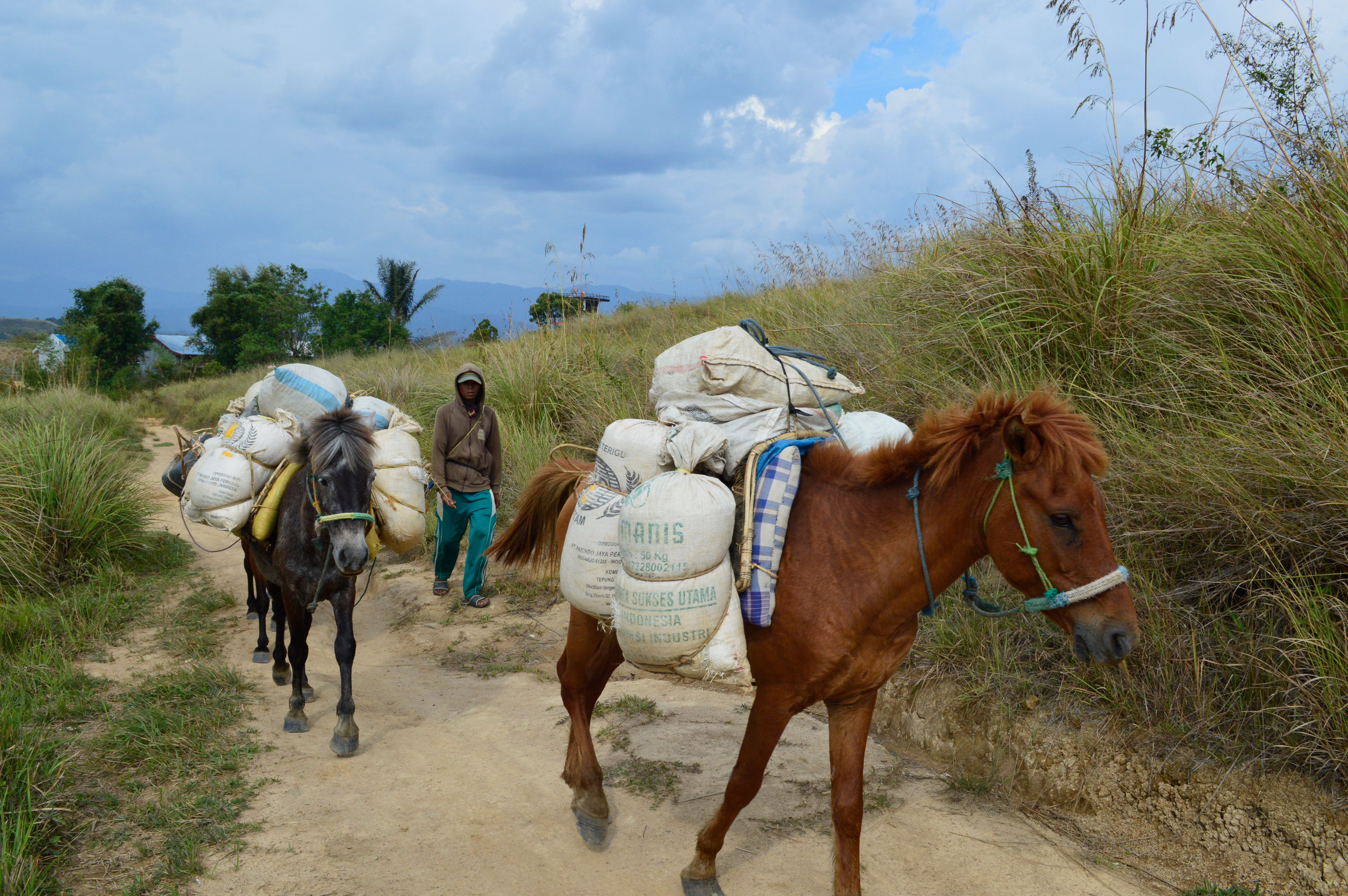 Caerwys — belongings being loaded for transport to storage