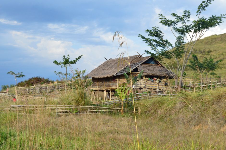 wisata Toraja