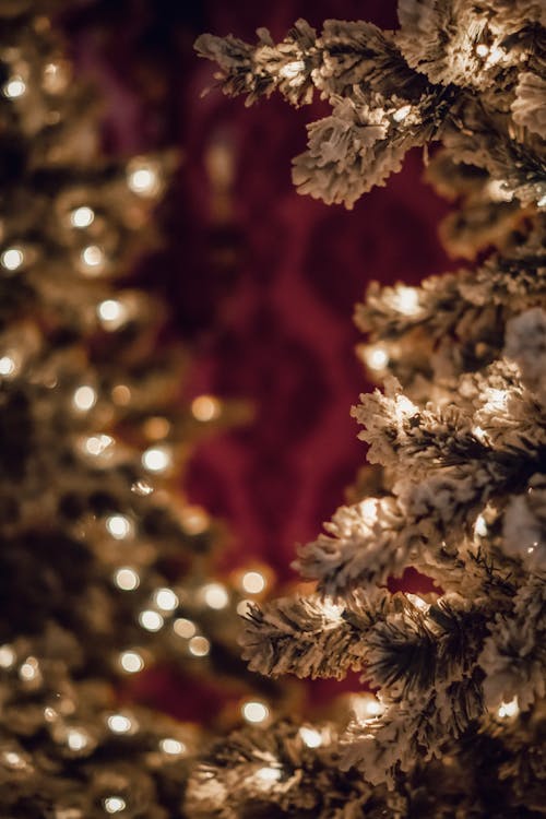 Kostnadsfri bild av bokeh, dekorativ, julbelysning