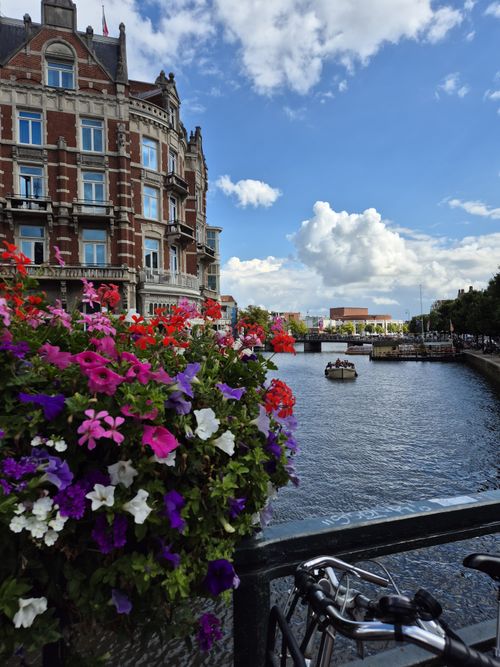 Free Bright flowers and historic building by an Amsterdam canal under blue skies. Stock Photo