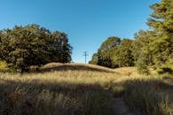 Rural Meadow with Power Pole and Trees