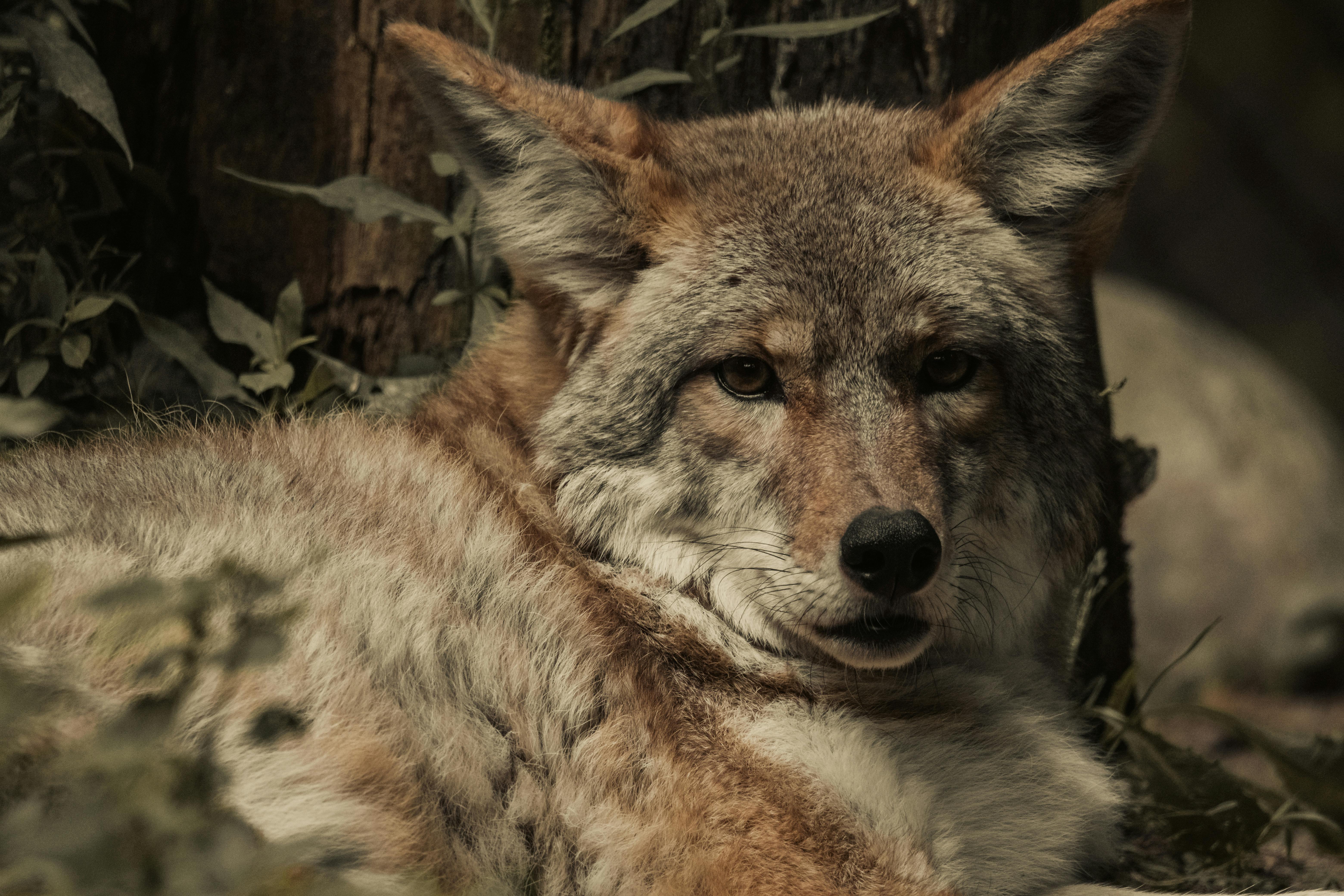 Surprising Algorithms Changing Human Behavior