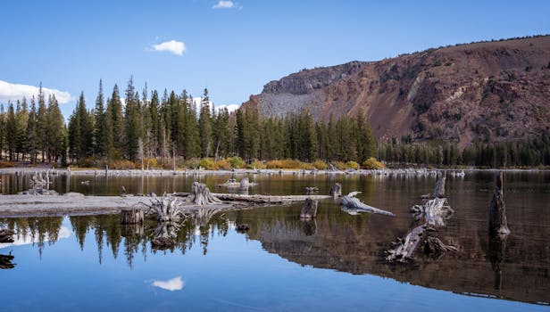 Mammoth Lakes, United States photo 2