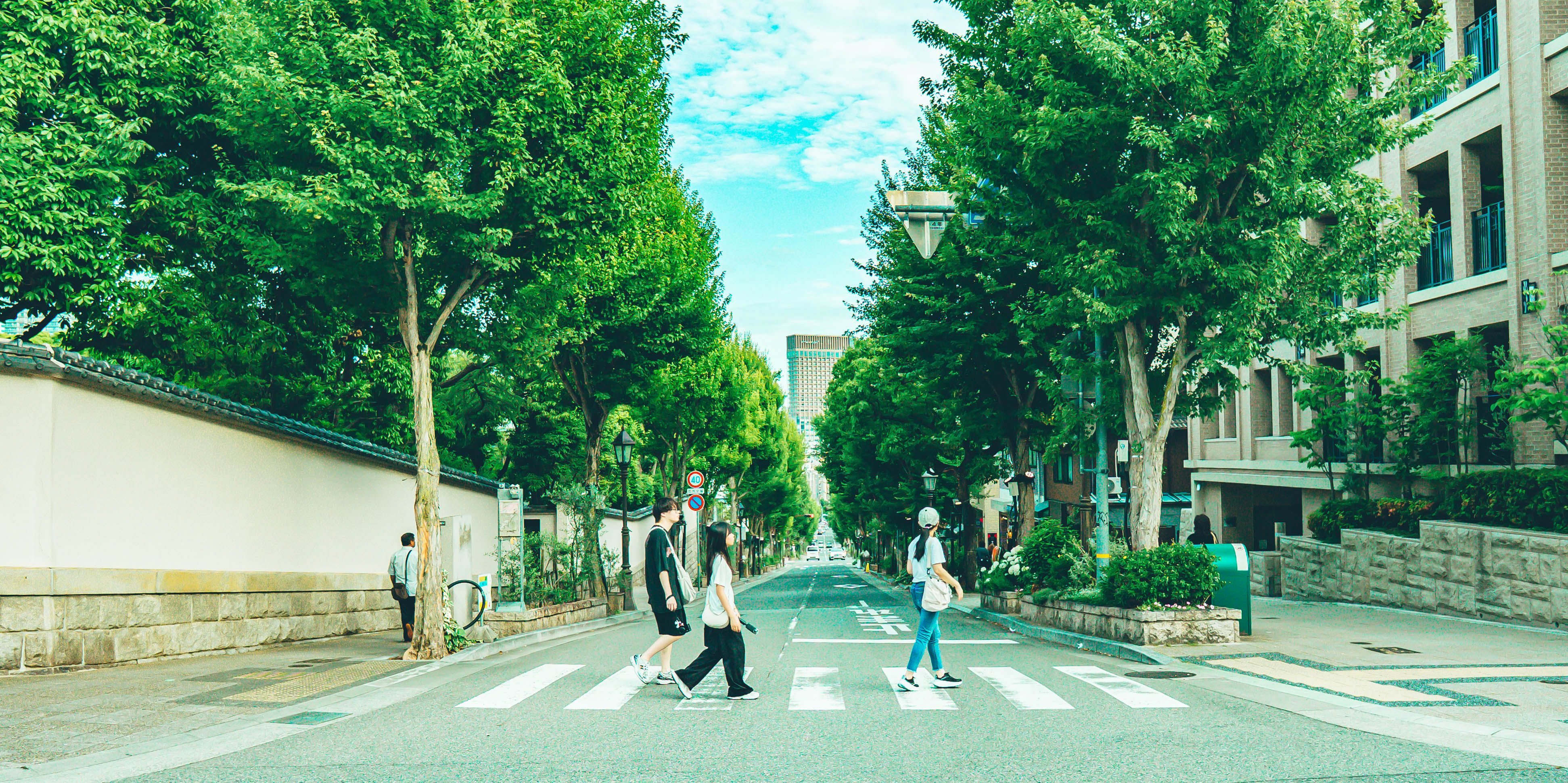 Urban street scene with people crossing a tree-lined avenue on a sunny day.