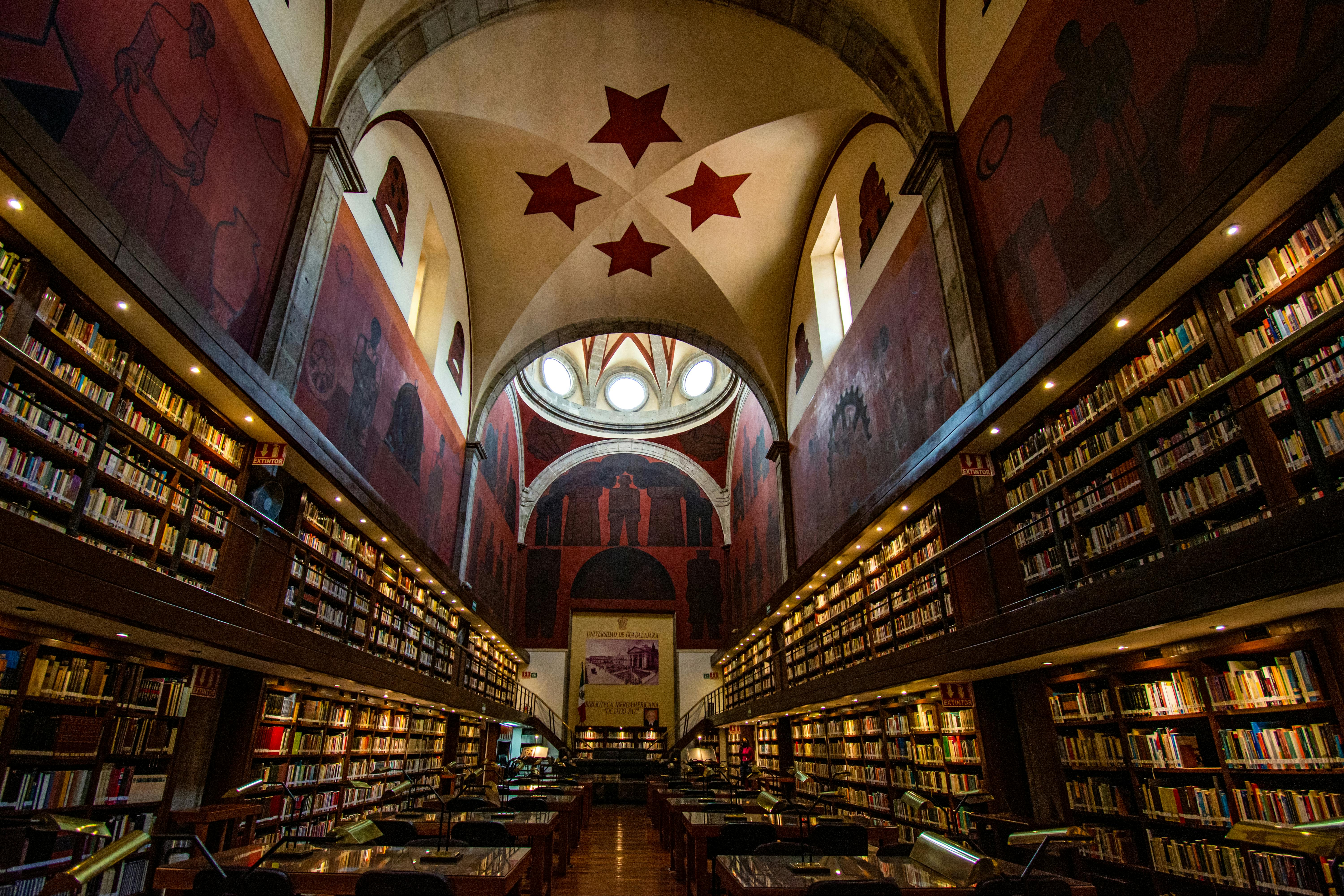 Stanford needs more rigorous general education requirements — Photo by Leslie del Moral on Pexels