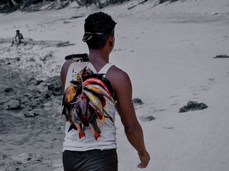 A local fisherman carrying colorful fish along a sandy beach in Sulawesi Utara, Indonesia.