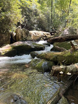 Tranquil forest stream flowing over mossy rocks in the Great Smoky Mountains. Perfect for nature lovers.