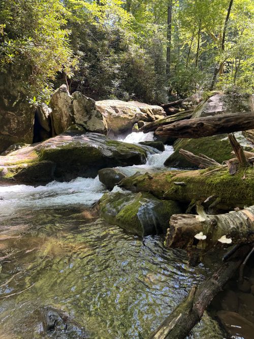 Free Tranquil forest stream flowing over mossy rocks in the Great Smoky Mountains. Perfect for nature lovers. Stock Photo