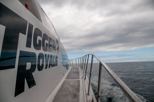 View from a boat sailing in the South Atlantic Ocean near South Africa.