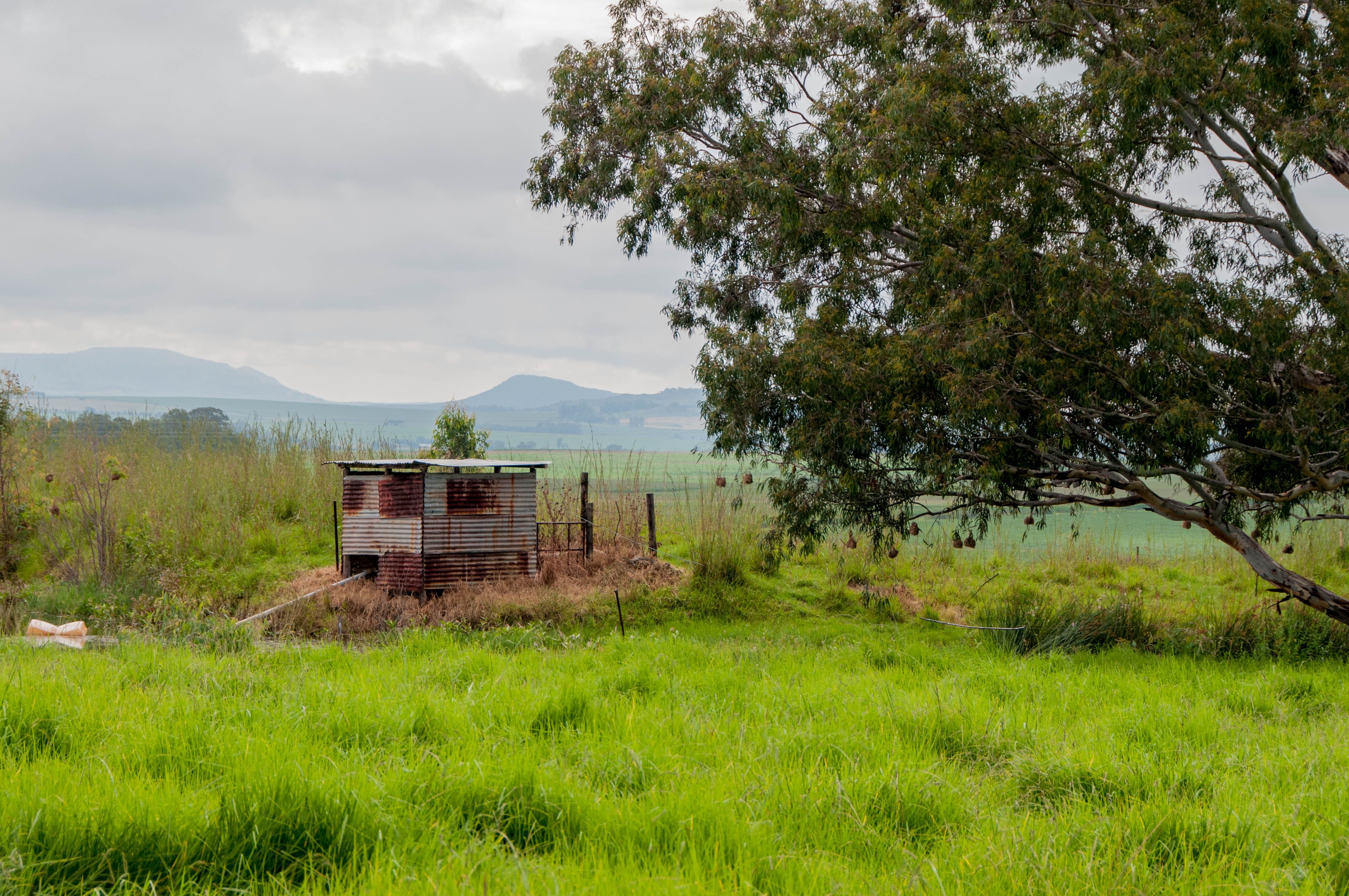 Rustic shed surrounded by lush greenery in a rural South African landscape, offering a serene countryside view.