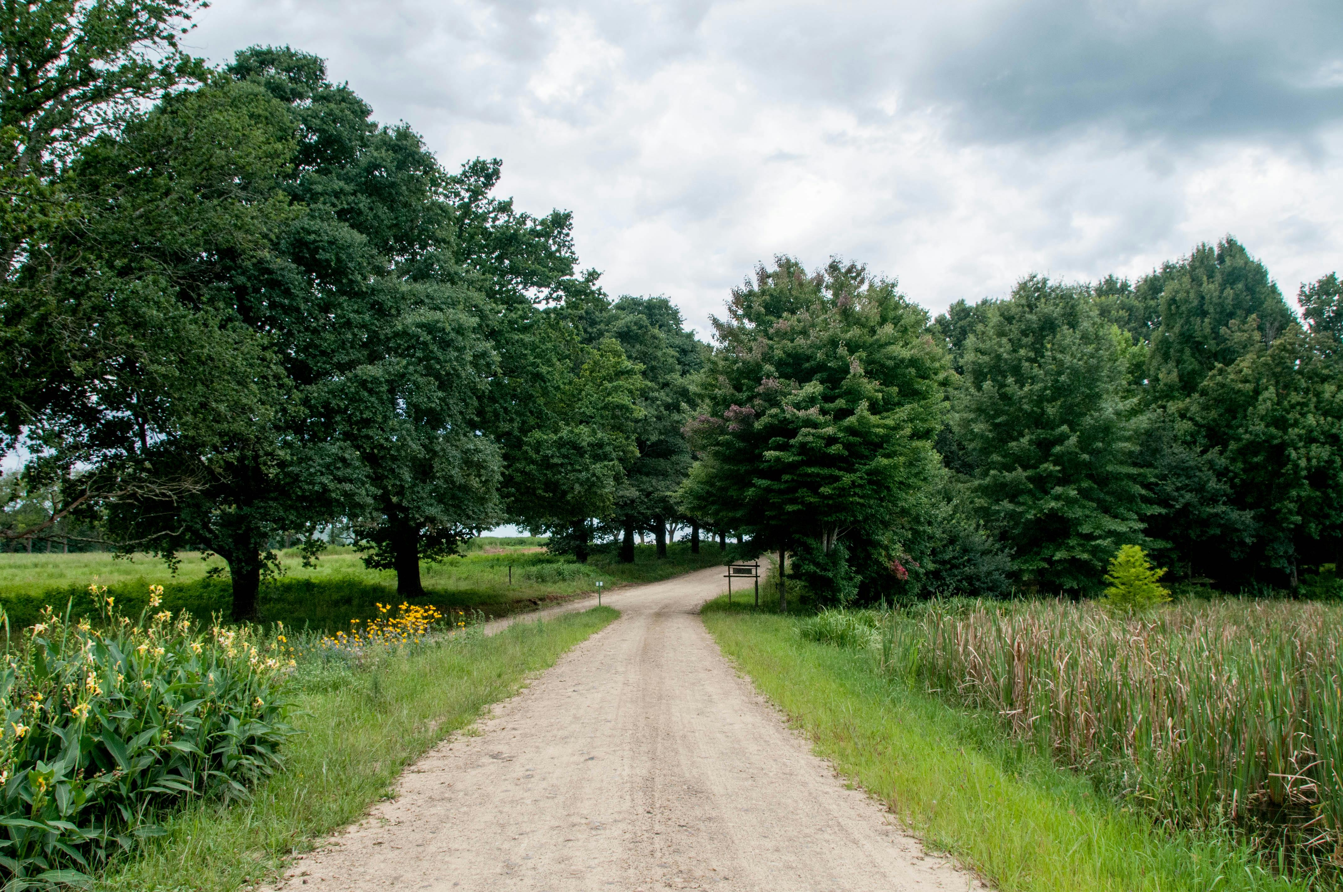 竹縣府爭取2 71億補助 打造以人為本的道路與優質生活環境