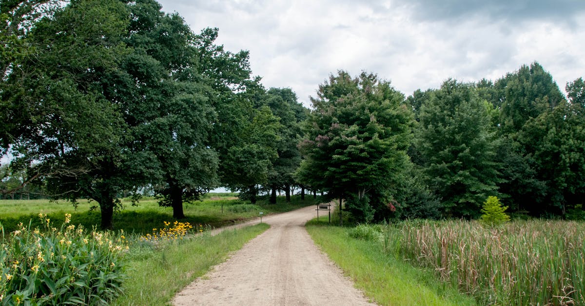 竹縣府爭取2 71億補助 打造以人為本的道路與優質生活環境