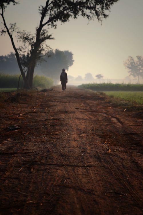 Free Silhouette walking on a rural dirt road at dawn, surrounded by fields and trees. Peaceful and atmospheric. Stock Photo