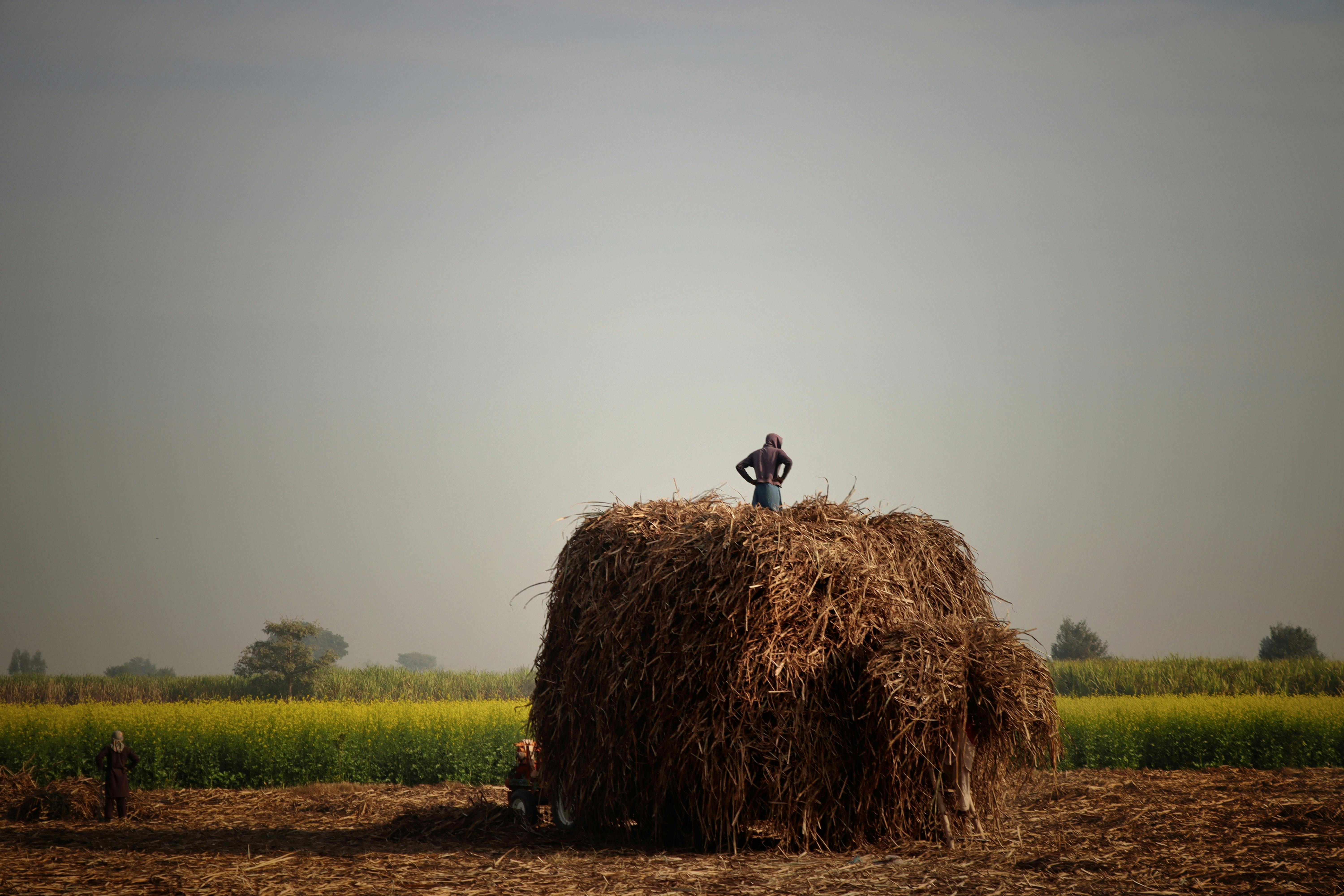 創業公司法律常識必修課 讓律師費用發揮最大效益 - 投資協議範例