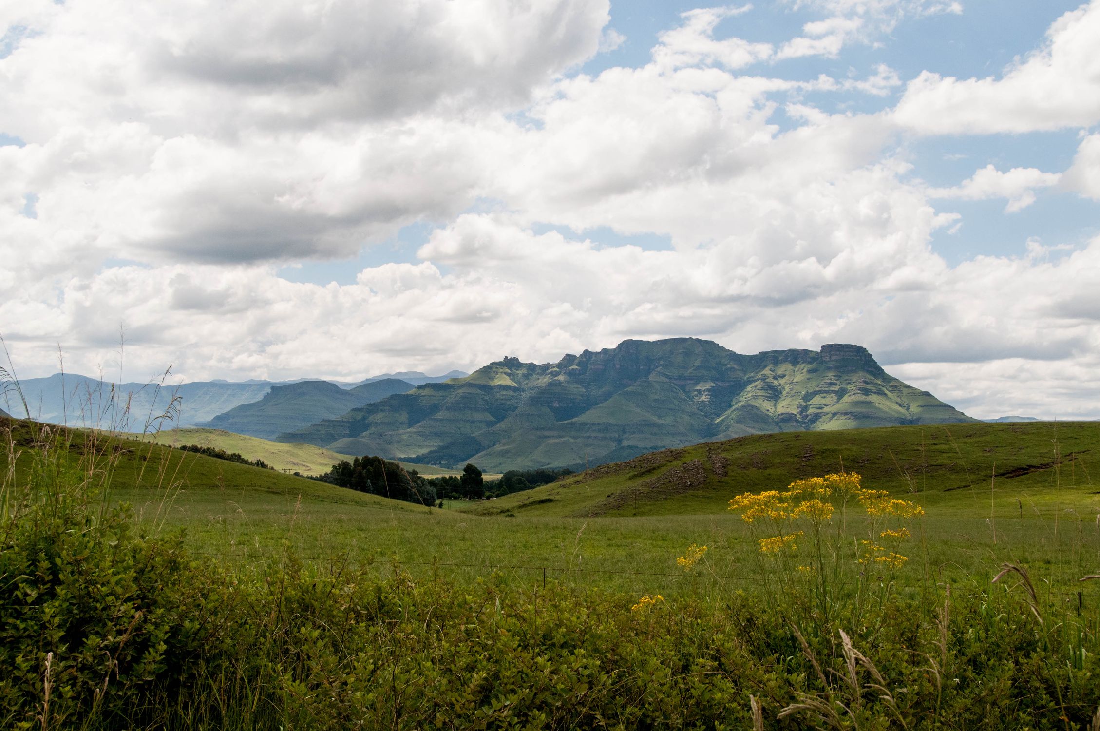 Majestic View of the Drakensberg Mountains · Free Stock Photo