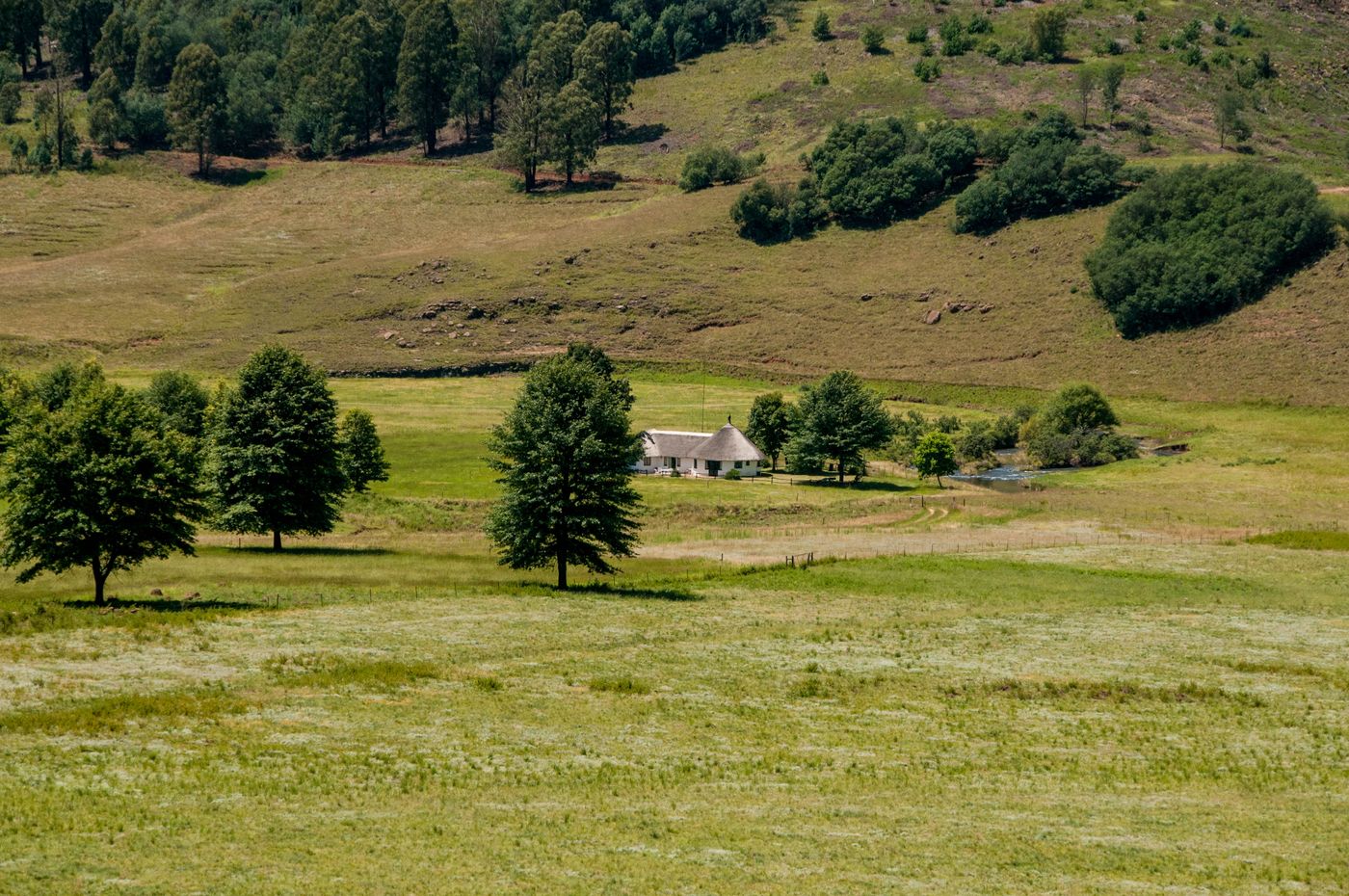 South African rural farm landscape and agricultural experience