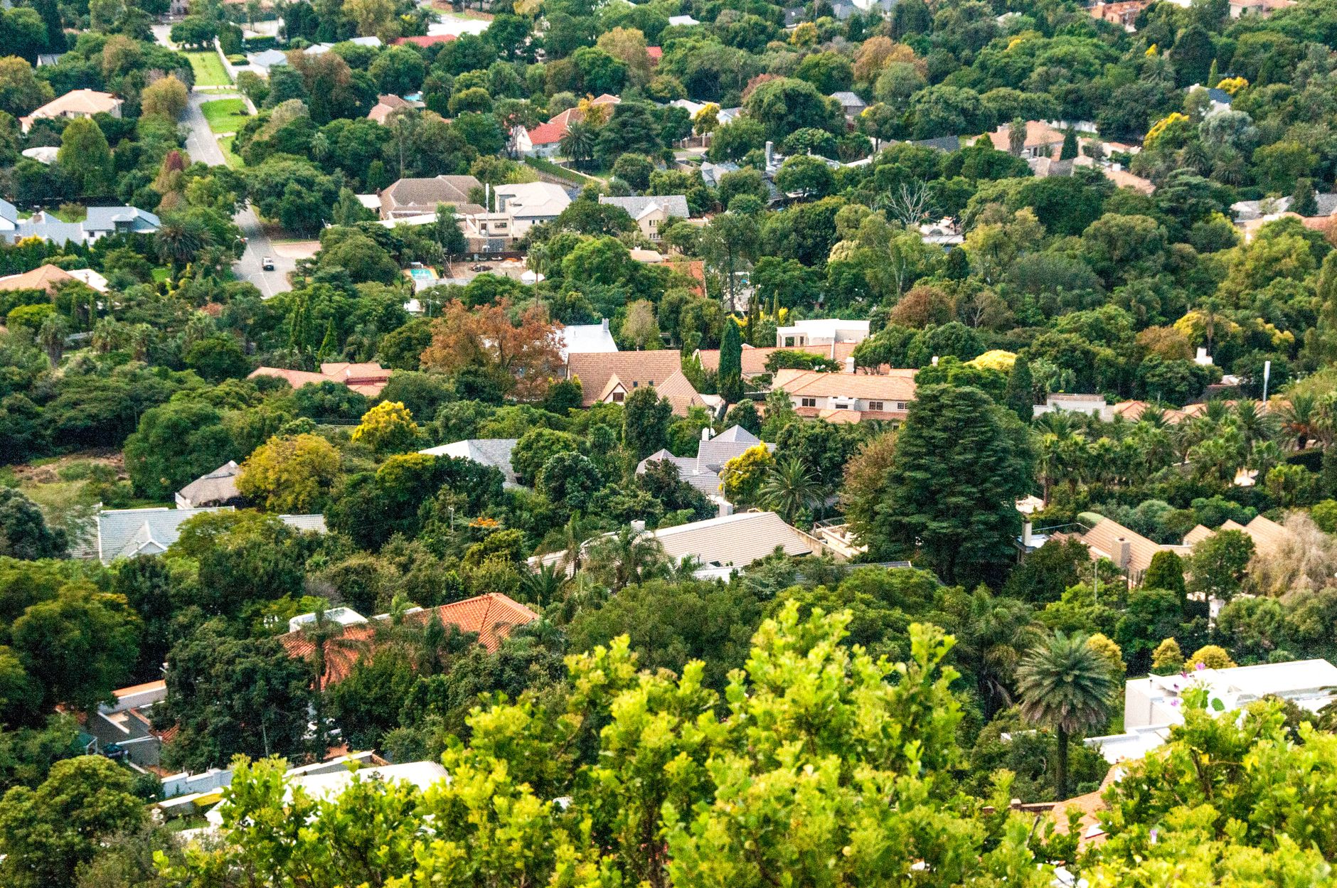 A lush aerial view of a suburban neighborhood surrounded by greenery in South Africa.