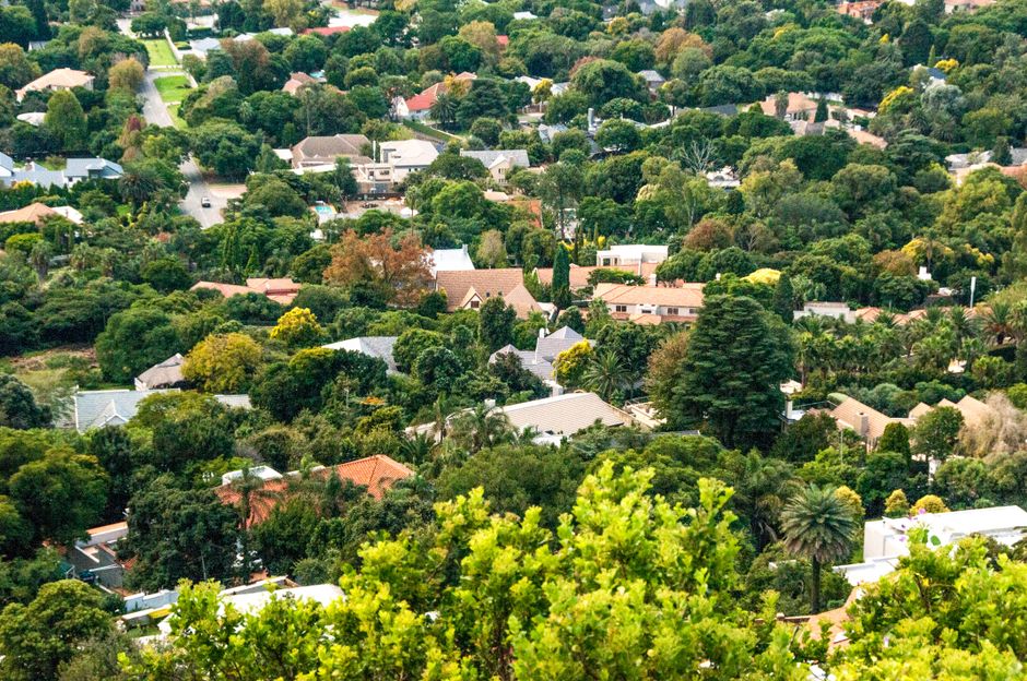 WILL BUYS LAND LLC real estate project photo 5