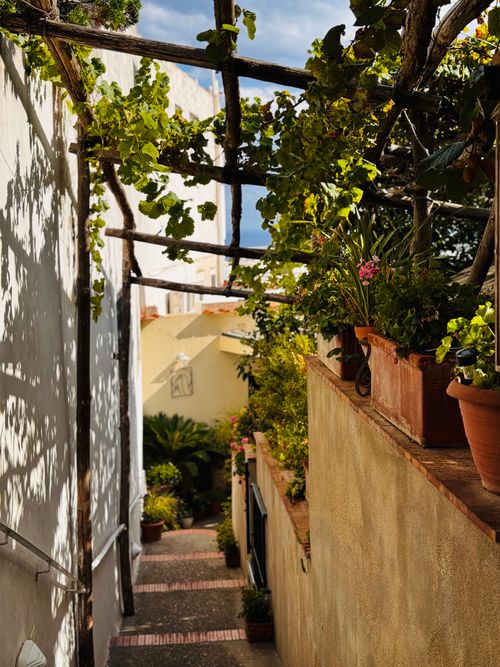 Free A picturesque Mediterranean alley lined with potted plants and a vine-covered pergola. Perfect for travel inspiration. Stock Photo