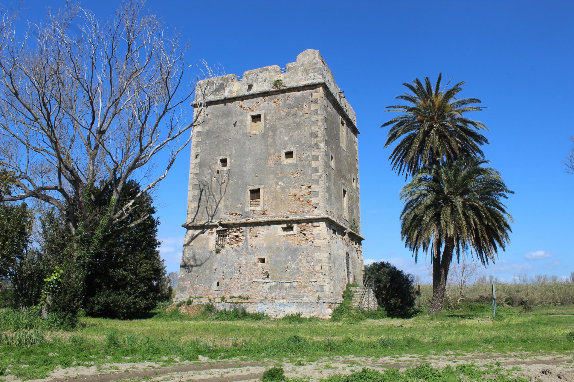 A historic stone tower with palm trees under a clear blue sky, showcasing architectural history.