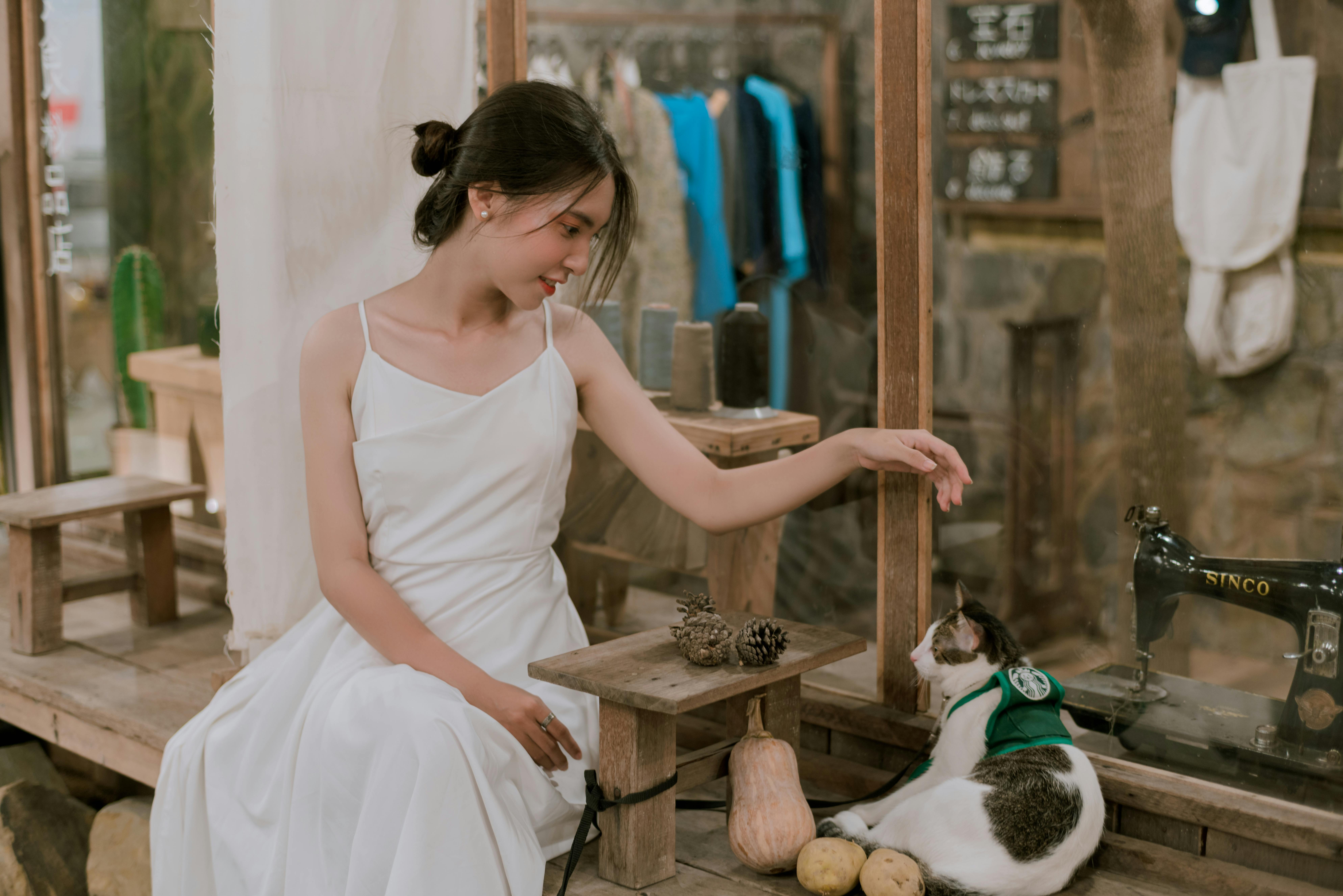 pet technology store — Photo by Đan Thy Nguyễn Mai on Pexels