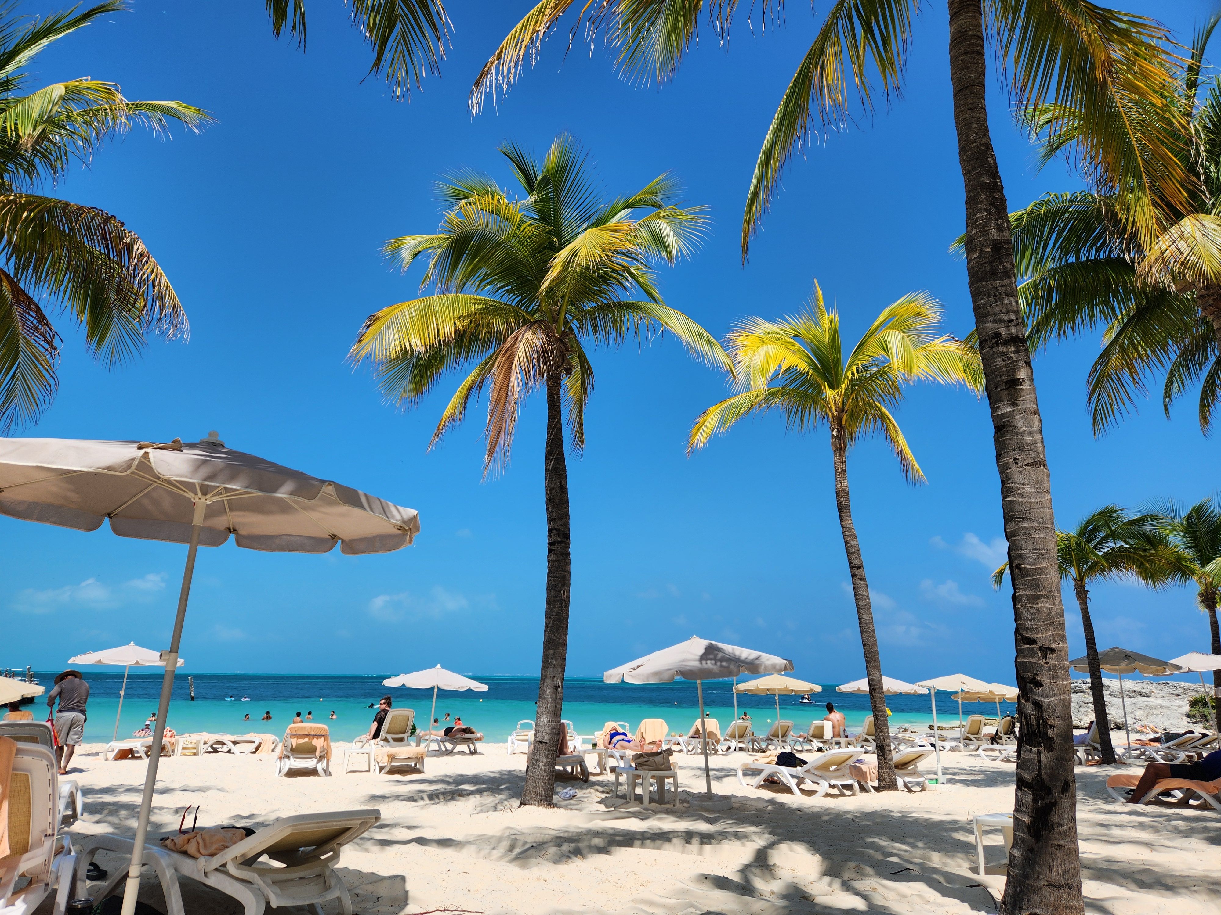 Palm Beach County "Accidental Landlords" Surge as Unsold Homes Convert to Rentals -- Atlis Property Management Releases 2026 