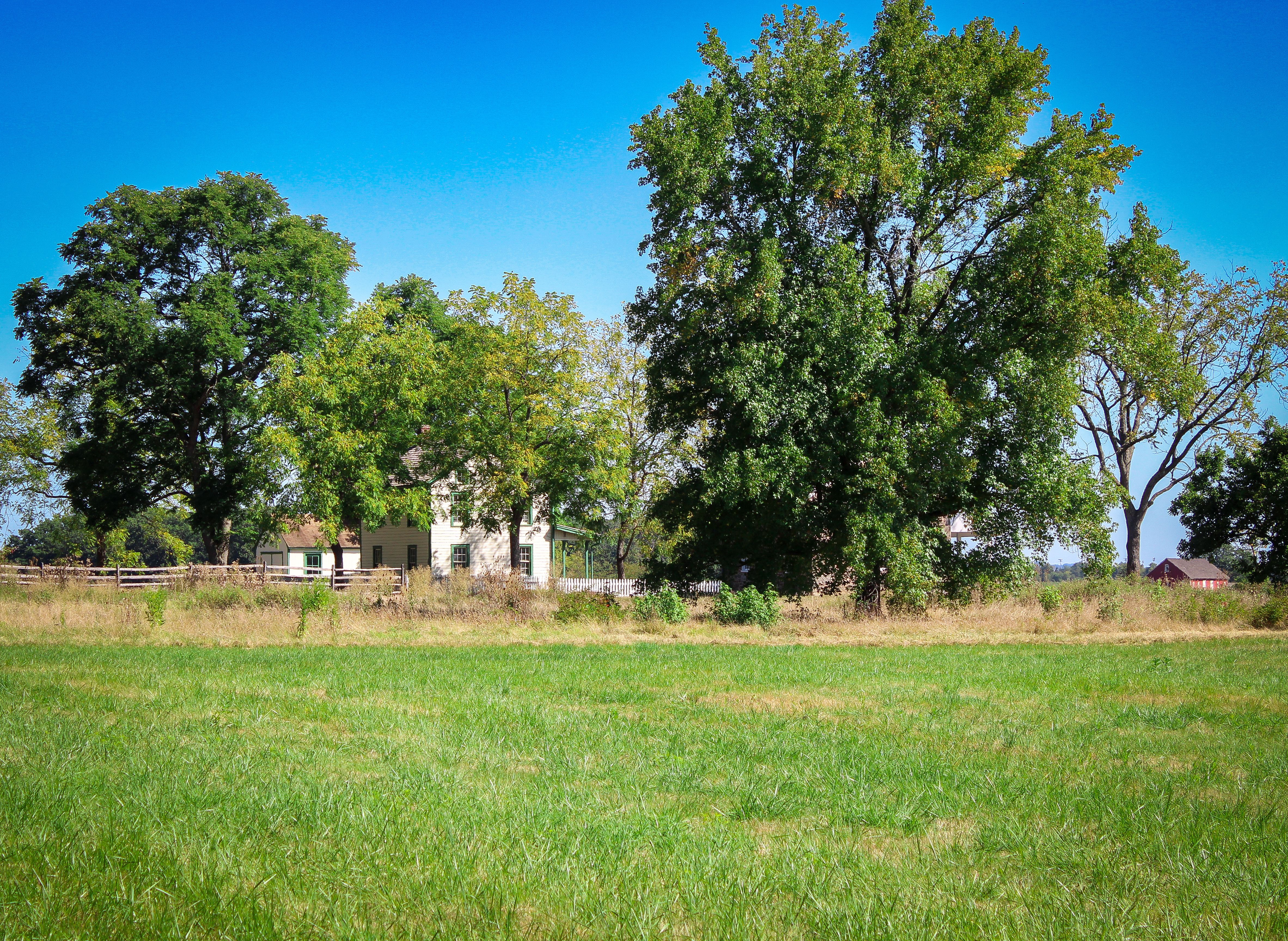 Idyllic countryside scene with farmhouses and lush trees under a blue sky.