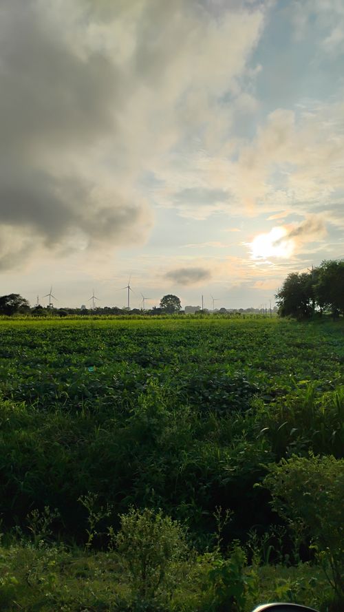 Free evening farm  Stock Photo