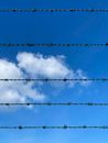 Photo of Barbed Wires